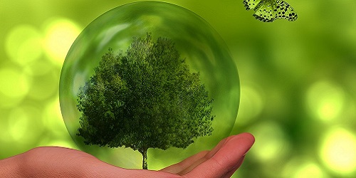 Nachhaltig und Grün